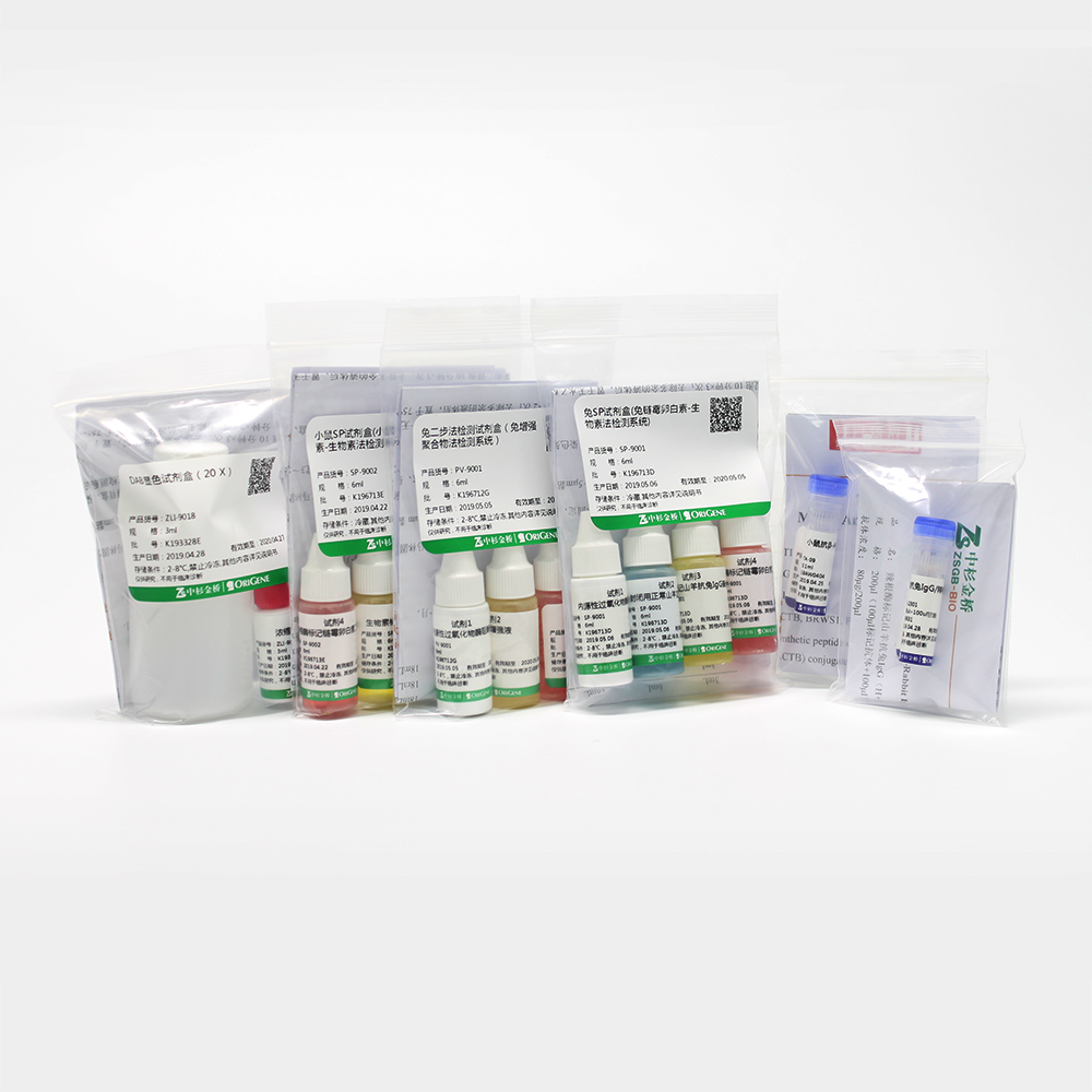 ZM-0183-6ml CD45抗体试剂（免疫组织化学） - ZSGB-BIO/中杉金桥