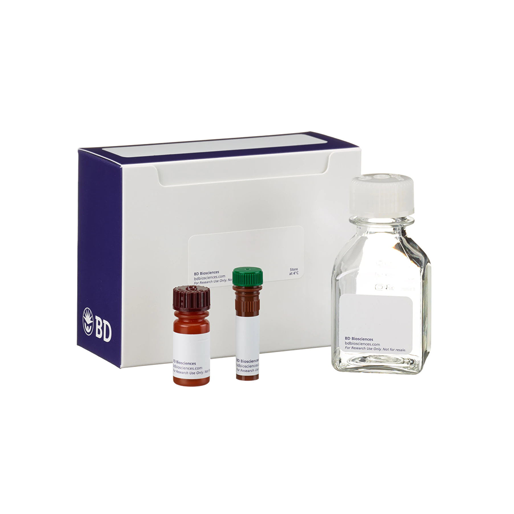 556547 Annexin V-FITC 细胞凋亡检测试剂盒 - BD