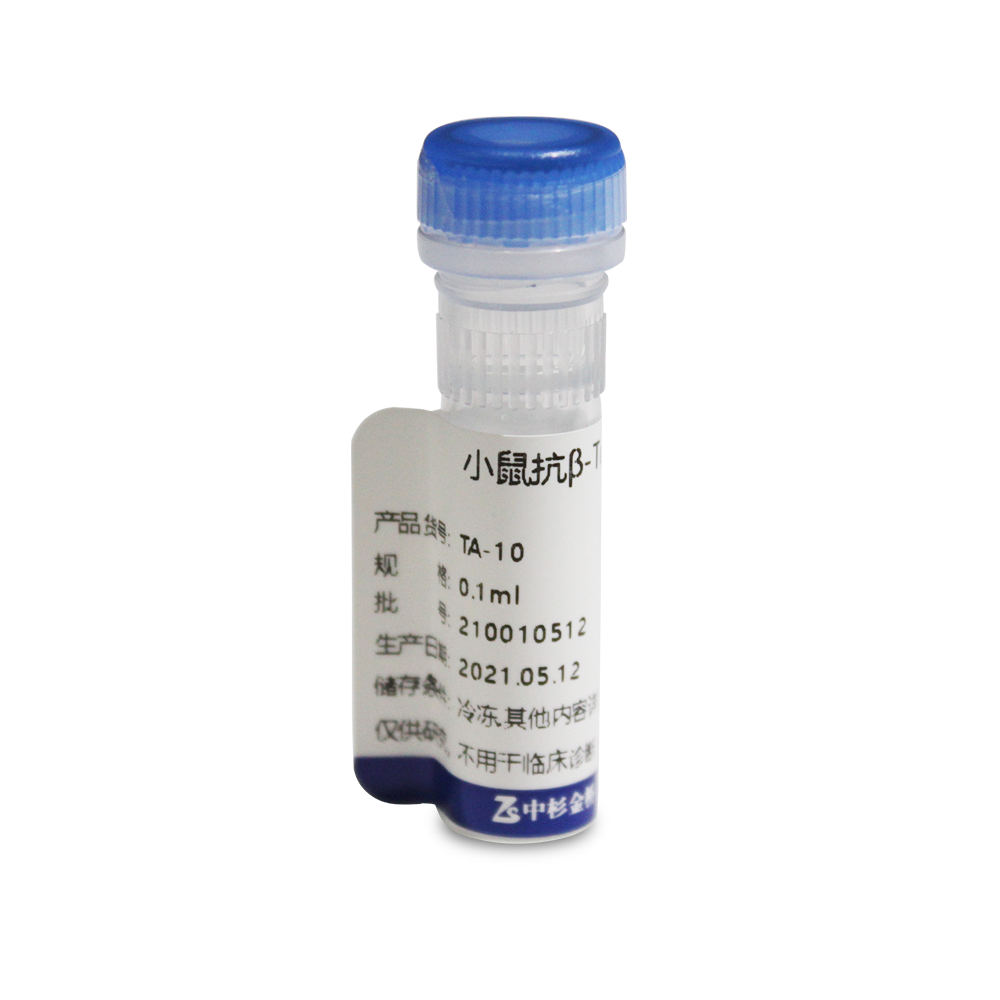 TA-10-0.1ml 试剂Mouse Anti-β Tubulin (TUBB4) mAb - ZSGB-BIO/中杉金桥