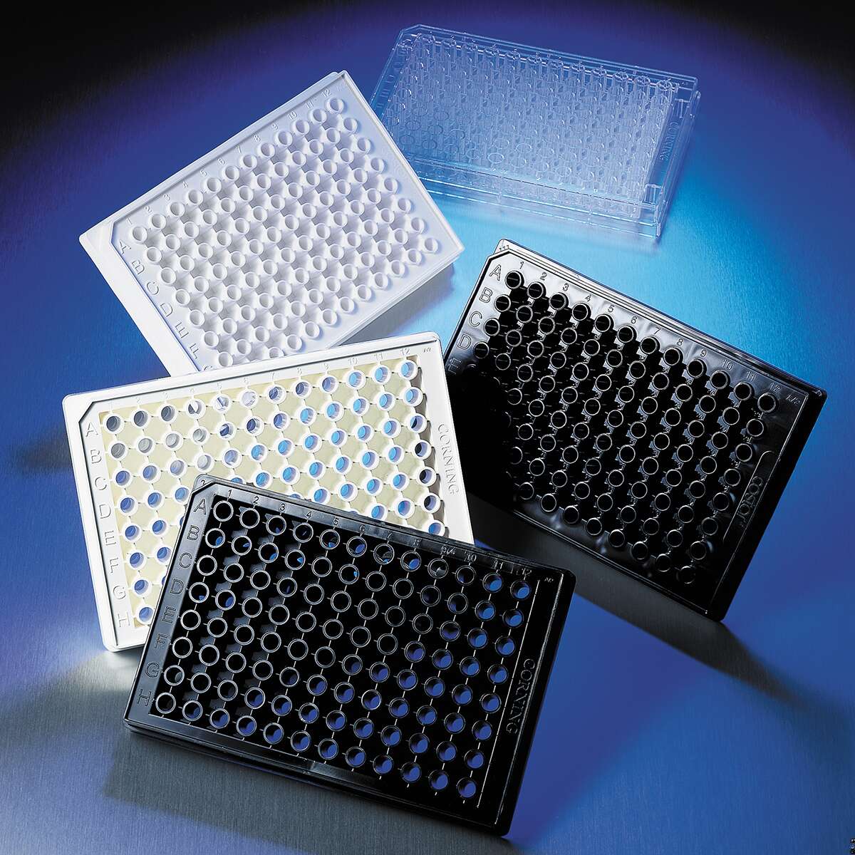 3916 96孔细胞培养板，全黑平底 - Corning/康宁