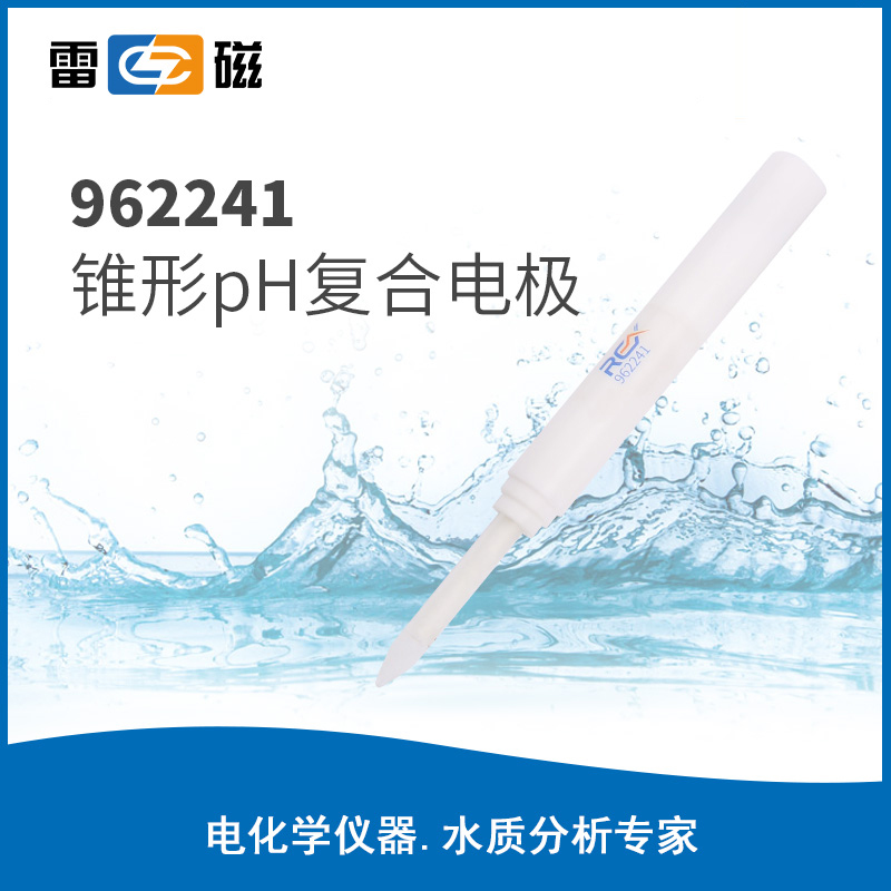 8025N00 962241锥形pH复合电极 - 雷磁