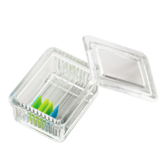 BS-10-SJ 10片装载玻片染色缸，玻璃