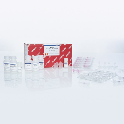 74204 RNA提取试剂盒 - Qiagen（凯杰）