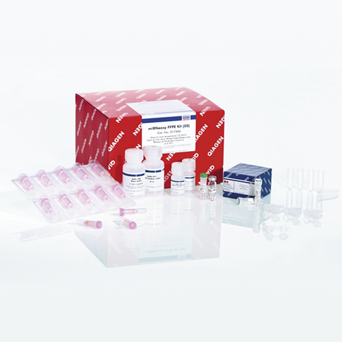 217504 石蜡包埋组织miRNA和总RNA纯化试剂盒 - Qiagen（凯杰）