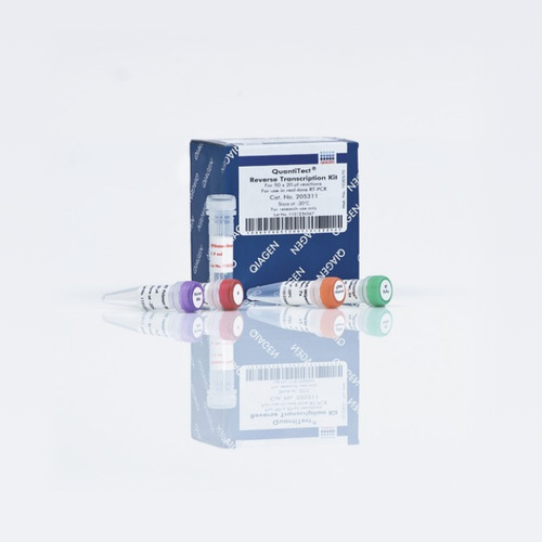 205311 反转录试剂盒 - Qiagen（凯杰）