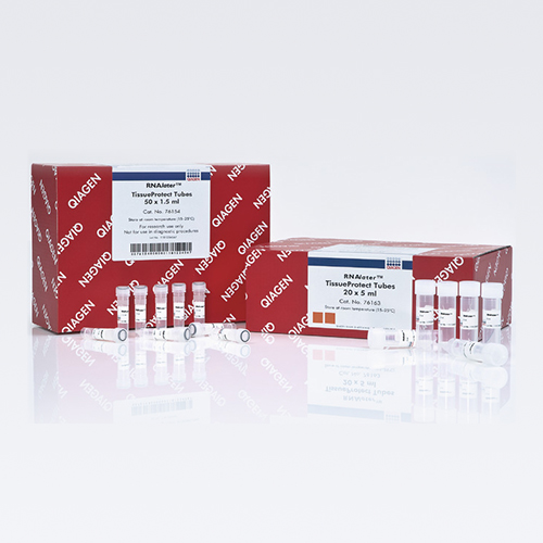 76154 RNA提取组织保存管 - Qiagen（凯杰）