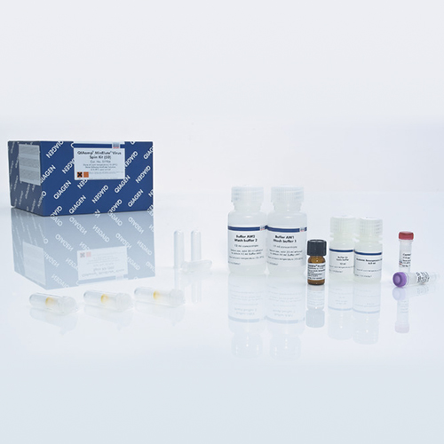 57704 病毒RNA/DNA纯化试剂盒 - Qiagen（凯杰）