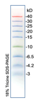 彩色预染蛋白Marker（3-40kDa）